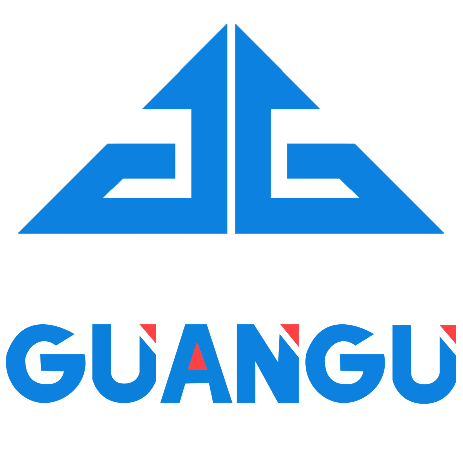 TanzaniaGuangu Tech